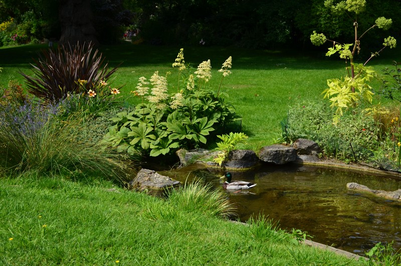 club des cotonettes_vadrouilles_balade dans Paris