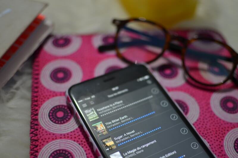 coup de coeur lecure bernice mcfadden