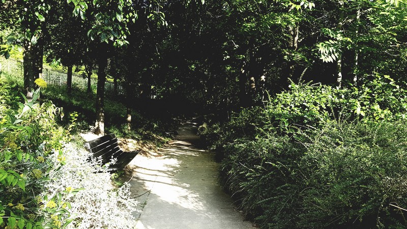 club-des-cotonettes_vadrouilles_balade-dans-Paris