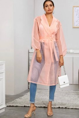 trenche manteau transparent organza shein